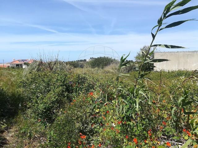 Terreno à venda em São João das Lampas e Terrugem, Sintra RE/MAX Portugal