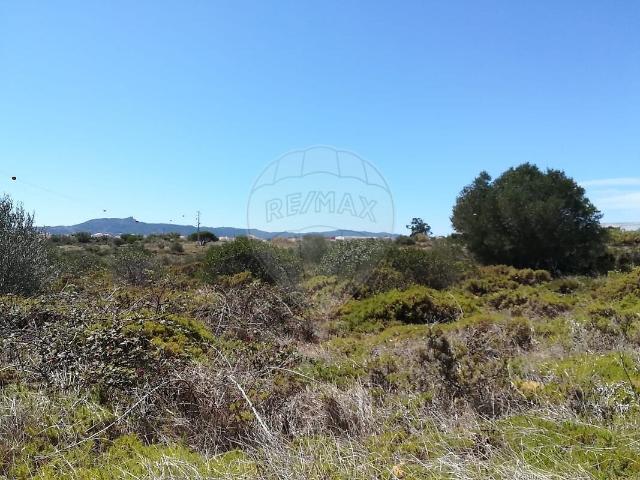 Terreno à venda em São João das Lampas e Terrugem, Sintra RE/MAX Portugal