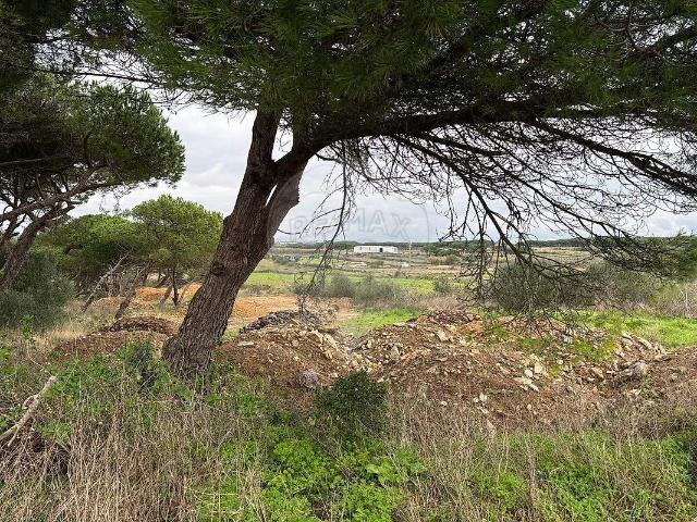 Terreno à venda em São João das Lampas e Terrugem, Sintra RE/MAX Portugal