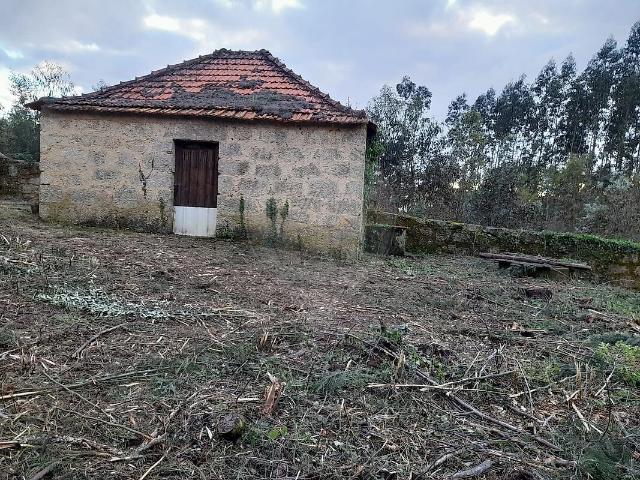 Terreno à venda em São João de Areias, Santa Comba Dão RE/MAX Portugal