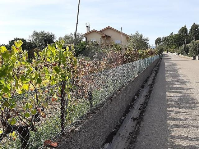 Terreno à venda em São João de Areias, Santa Comba Dão RE/MAX Portugal