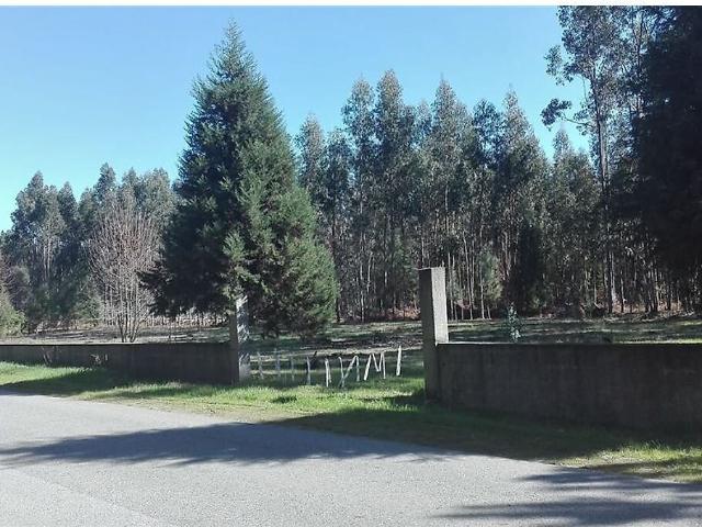 Terreno à venda em São João de Areias, Santa Comba Dão RE/MAX Portugal