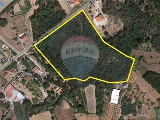 Terreno à venda em São João de Areias, Santa Comba Dão RE/MAX Portugal