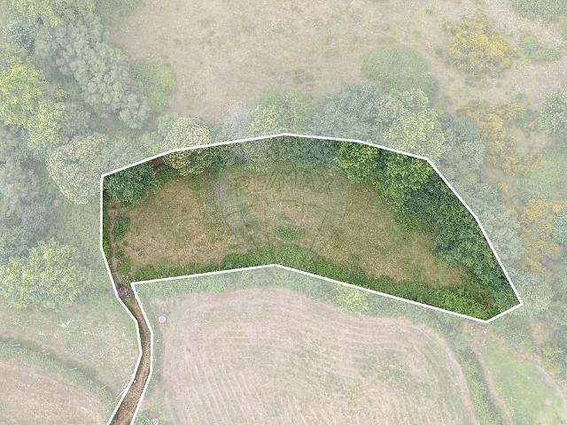 Terreno à venda em São João de Rei, Póvoa de Lanhoso RE/MAX Portugal