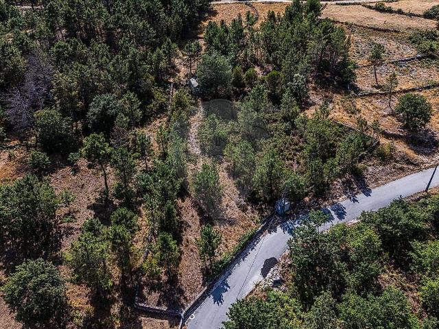 Terreno à venda em São Joaninho, Castro Daire RE/MAX Portugal