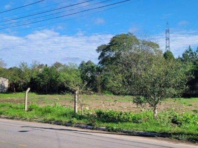 Terreno à venda em São José