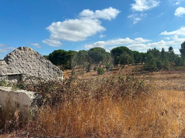 Terreno à venda em São José da Lamarosa, Coruche RE/MAX Portugal