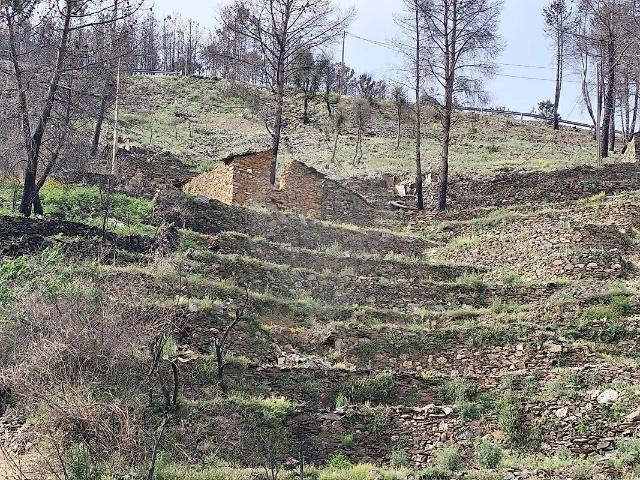 Terreno à venda em São Jorge da Beira, Covilhã RE/MAX Portugal