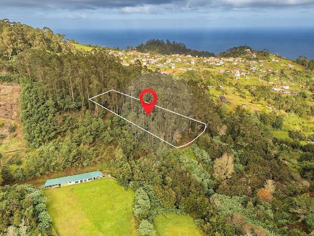 Terreno à venda em São Jorge, Santana RE/MAX Portugal