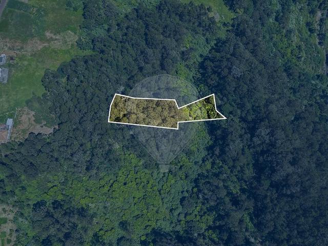 Terreno à venda em São Jorge, Santana RE/MAX Portugal