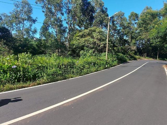 Terreno à venda em São Jorge, Santana RE/MAX Portugal