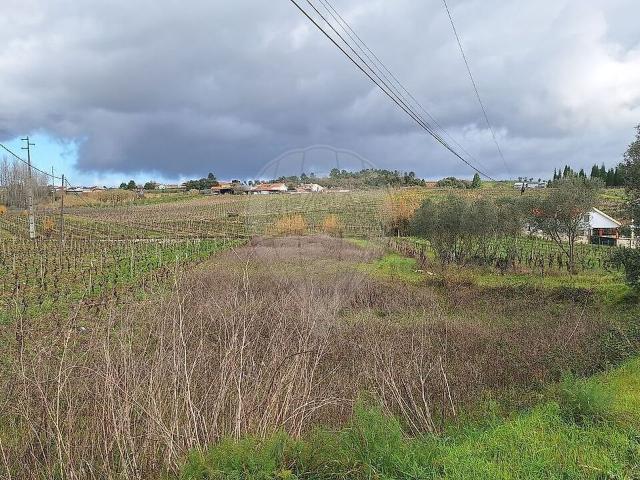 Terreno à venda em São Lourenço do Bairro, Anadia RE/MAX Portugal