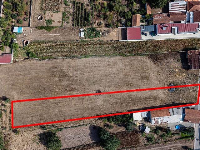 Terreno à venda em São Lourenço do Bairro, Anadia RE/MAX Portugal