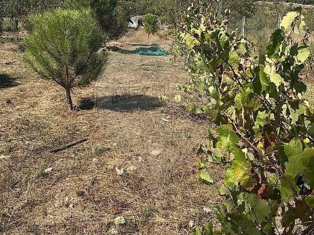 Terreno à venda em São Paio, Gouveia RE/MAX Portugal