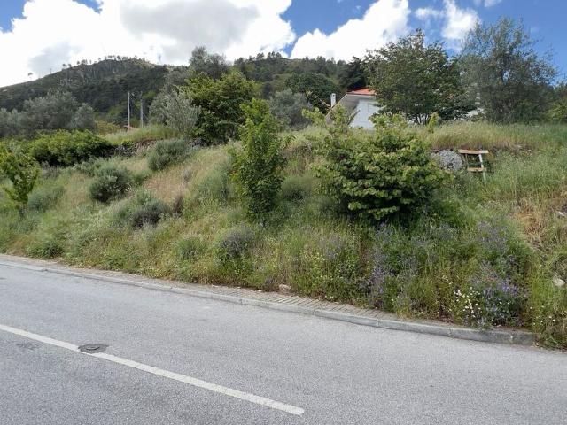 Terreno à venda em São Pedro, Manteigas RE/MAX Portugal