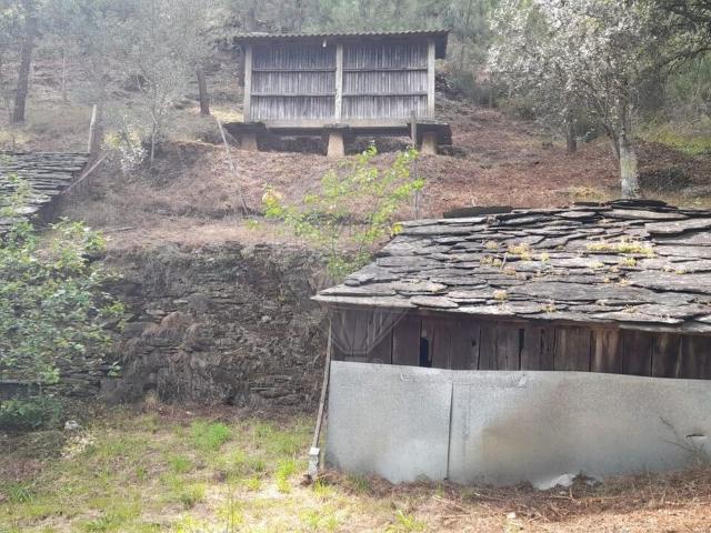 Terreno à venda em São Pedro do Sul