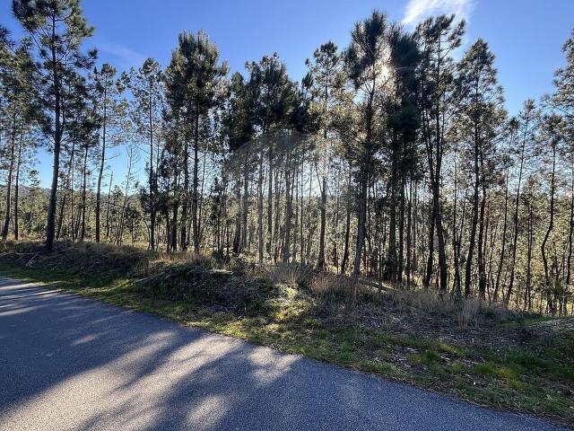Terreno à venda em São Pedro do Sul