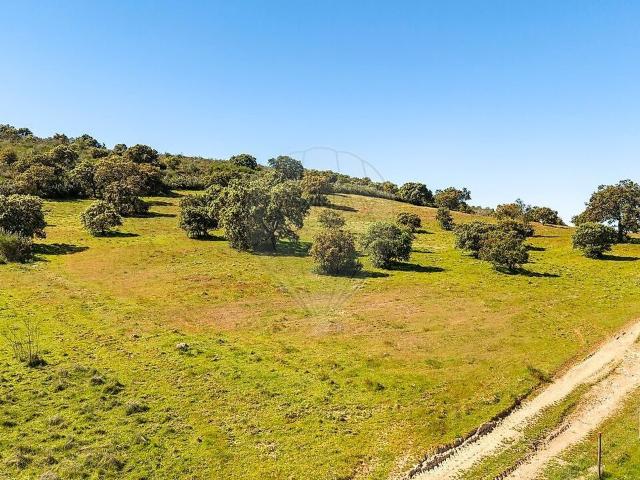 Terreno à venda em São Pedro Terena, Alandroal RE/MAX Portugal