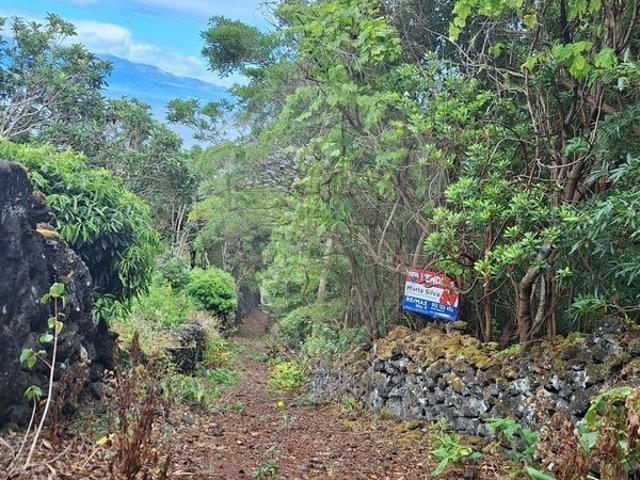 Terreno à venda em Prainha, São Roque do Pico RE/MAX Portugal