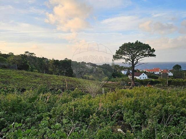 Terreno à venda em São Roque do Pico, São Roque do Pico RE/MAX Portugal