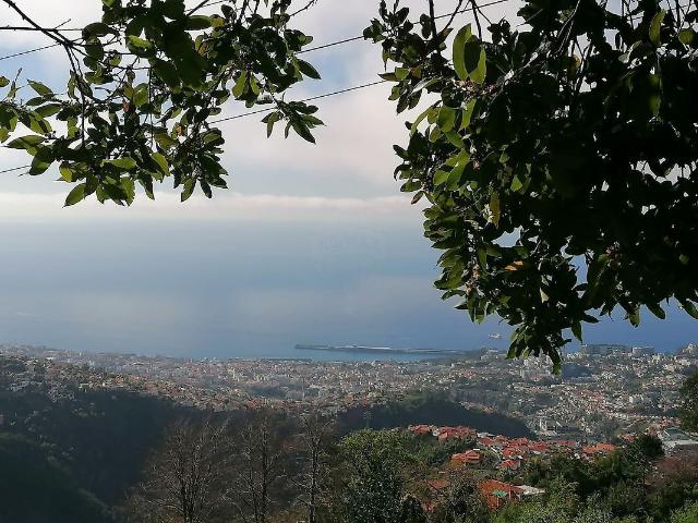 Terreno à venda em São Roque, Funchal RE/MAX Portugal