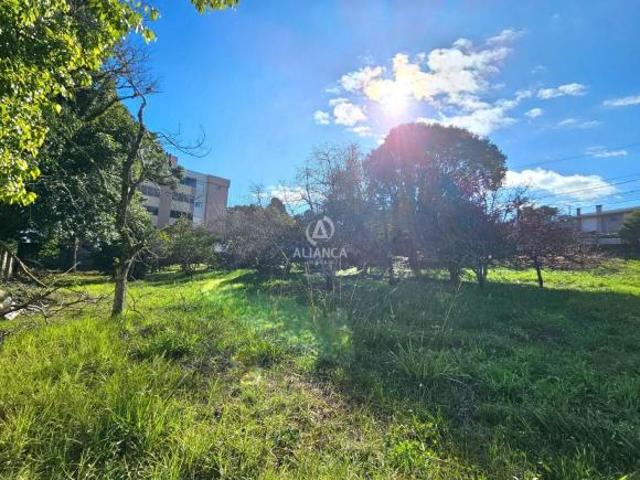 Terreno à venda em São Roque