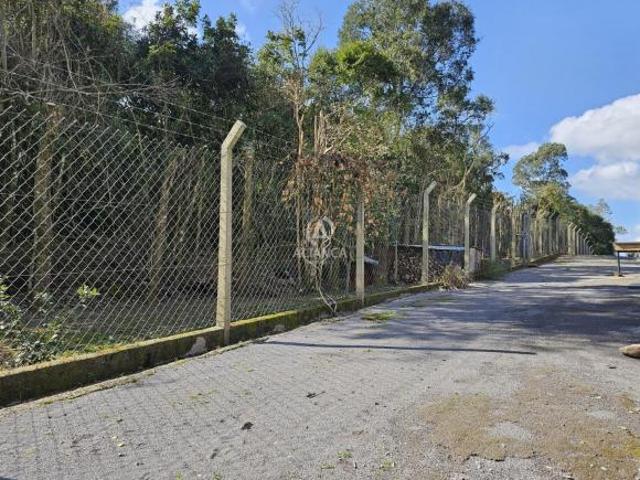 Terreno à venda em São Roque