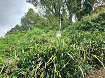 Terreno à venda em São Roque