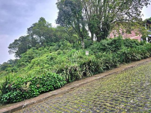 Terreno à venda em São Roque