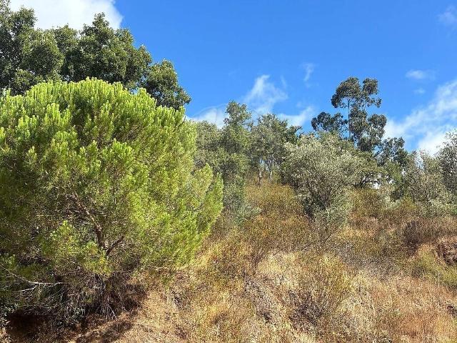 Terreno à venda em São Salvador e Santa Maria, Odemira RE/MAX Portugal