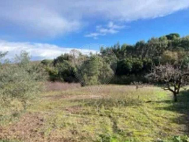 Terreno à venda em São Vicente do Paul e Vale de Figueira, Santarém RE/MAX Portugal
