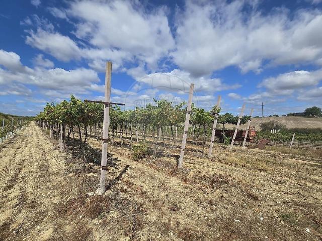 Terreno à venda em São Vicente do Paul e Vale de Figueira, Santarém RE/MAX Portugal
