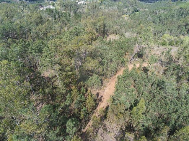 Terreno à venda em Soure