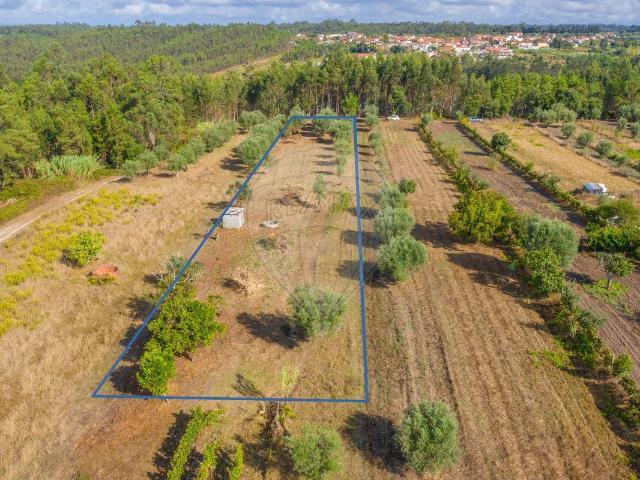 Terreno à venda em Soure, Soure RE/MAX Portugal