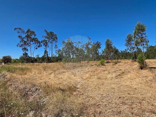 Terreno à venda em Soure, Soure RE/MAX Portugal