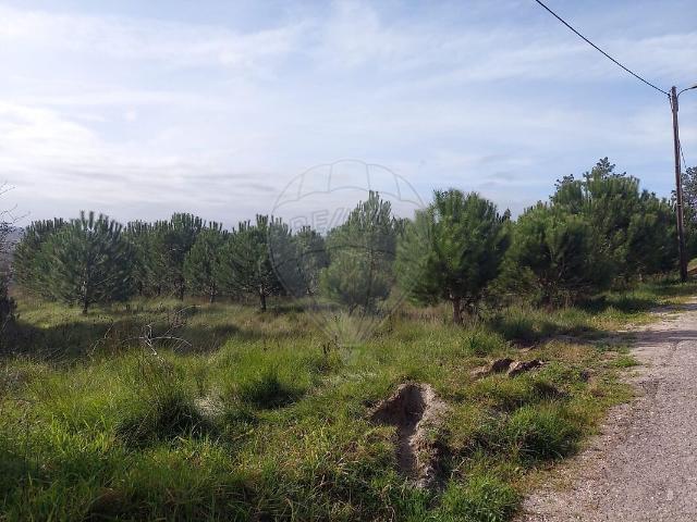 Terreno à venda em Soure, Soure RE/MAX Portugal