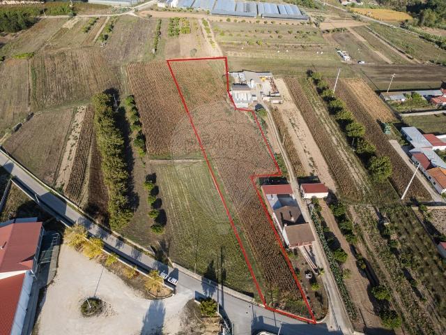 Terreno à venda em Souto da Carpalhosa e Ortigosa, Leiria RE/MAX Portugal