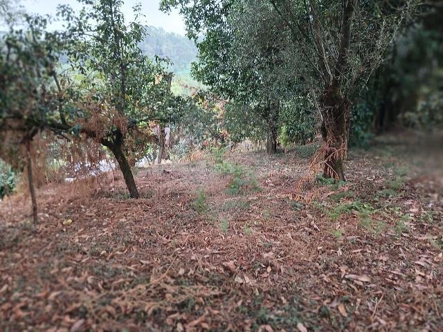 Terreno à venda em Souto, Terras de Bouro RE/MAX Portugal