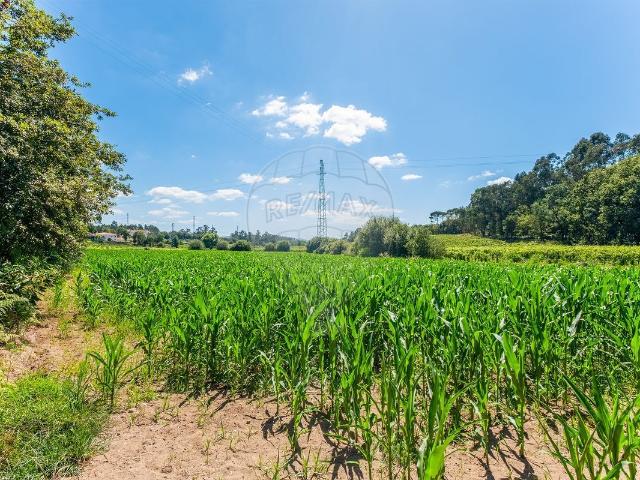 Terreno à venda em Soutelo, Vila Verde RE/MAX Portugal