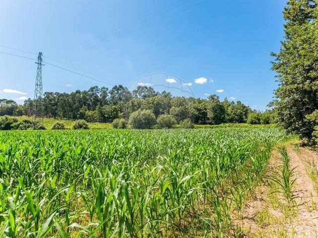 Terreno à venda em Soutelo, Vila Verde RE/MAX Portugal