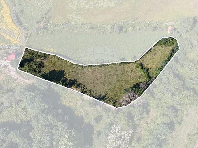 Terreno à venda em Sobradelo da Goma, Póvoa de Lanhoso RE/MAX Portugal