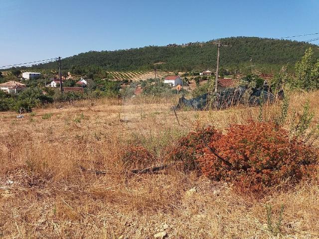 Terreno à venda em Sobreira Formosa e Alvito da Beira, Proença a Nova RE/MAX Portugal