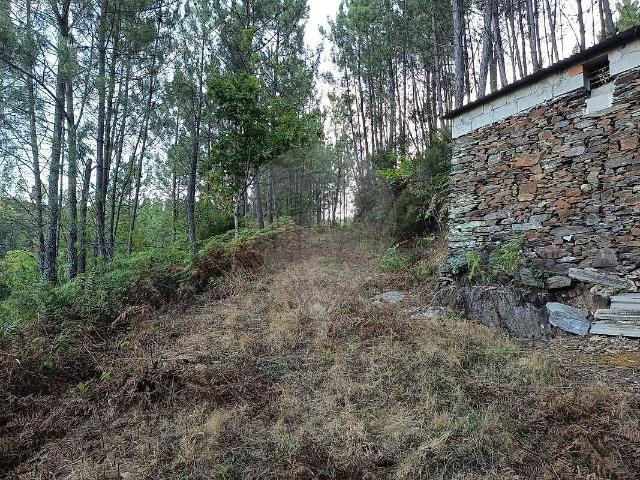 Terreno à venda em Sazes da Beira, Seia RE/MAX Portugal