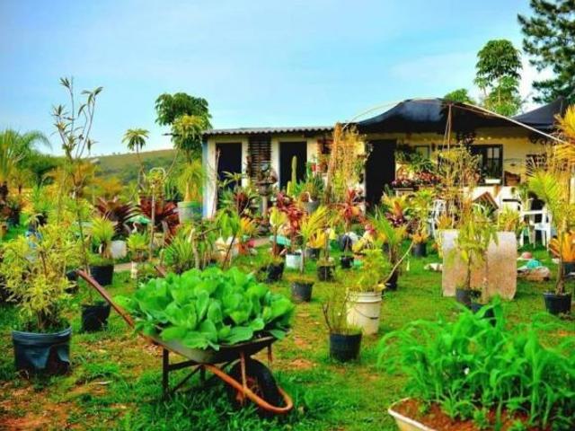 Terreno à venda em Saboó