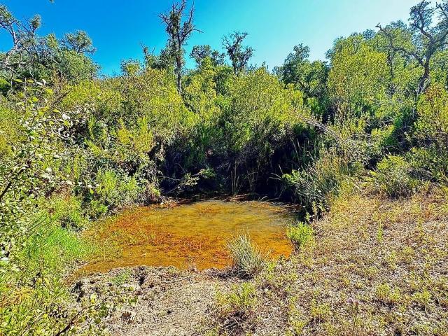 Terreno à venda em Sabóia, Odemira RE/MAX Portugal