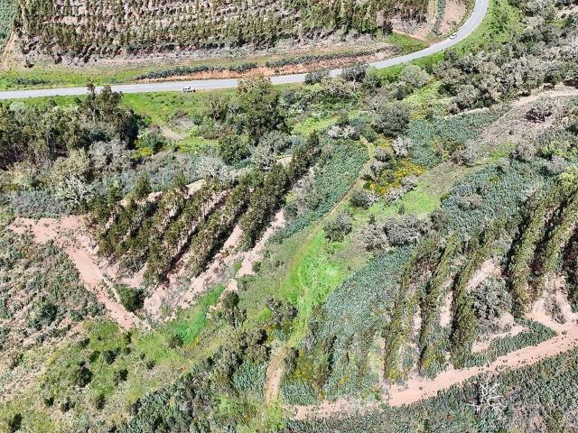 Terreno à venda em Sabóia, Odemira RE/MAX Portugal