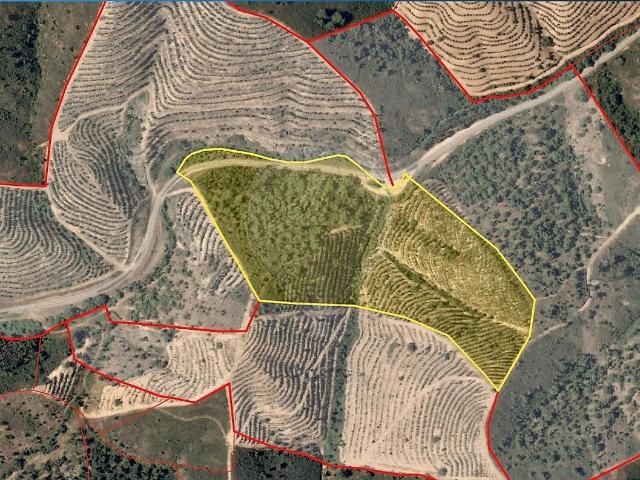 Terreno à venda em Sabóia, Odemira RE/MAX Portugal