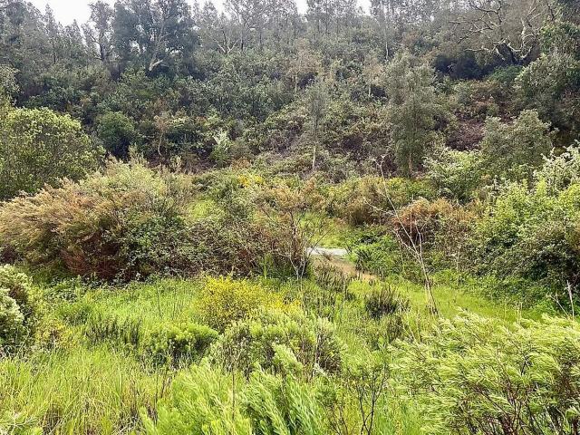 Terreno à venda em Sabóia, Odemira RE/MAX Portugal