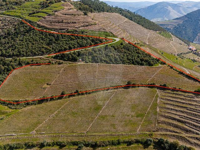 Terreno à venda em Sabrosa