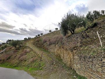 Terreno à venda em Sabrosa